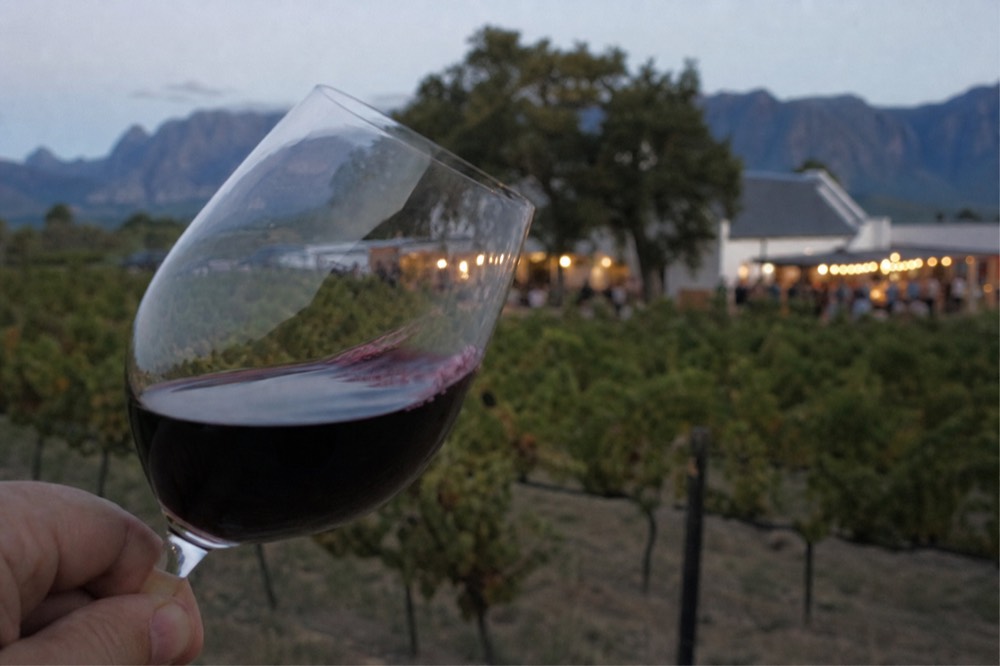 A close-up of a hand-held glass of deep garnet red wine tilted against blurred green vineyard rows in warm sun, no label, no text, no visible face