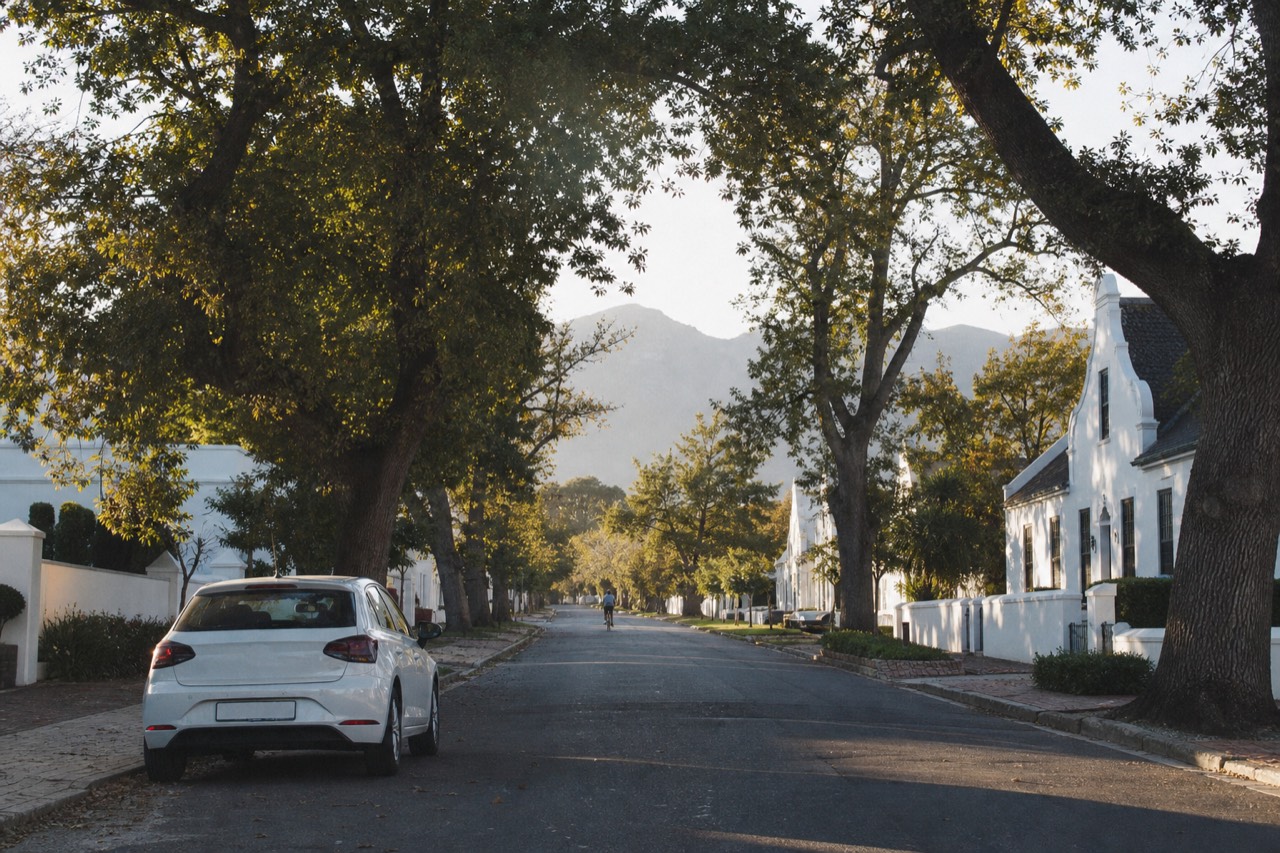 An oak-lined Stellenbosch street of whitewashed Cape Dutch buildings with mountains rising at the end of the road, dappled morning light through the trees, no signage, no text, no faces