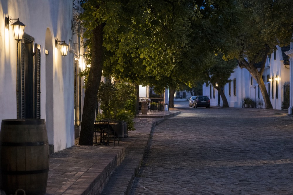 A quiet cobbled side street in a historic winelands town lined with old whitewashed buildings and oak trees in morning light, no readable signs, no text, no people