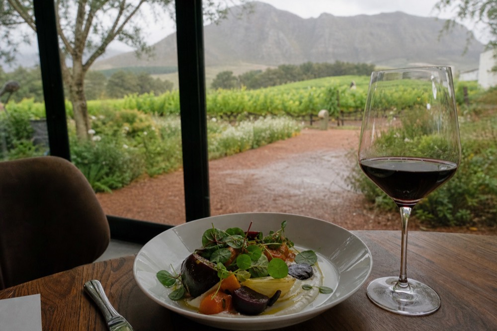 A plated fine-dining course of vegetables and sauce on a white plate beside a glass of red wine, blurred vineyard through a window behind, no text, no logos, no faces