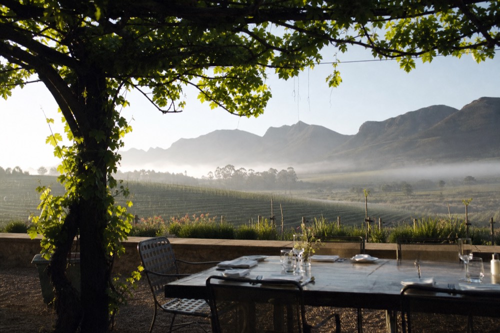 A vine-covered pergola over an outdoor restaurant table in spring with fresh green leaves, mountains behind under a clear sky, empty set table, no text, no branding, no people